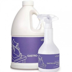 G VC 621 N Gastro-Sept Plus 0,6L Preparat dezynf.-12869